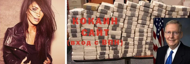 Кокаин Fish Scale  купить   Камышлов 