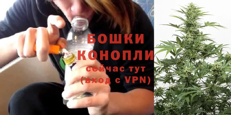 Шишки марихуана Amnesia  купить   Камышлов 